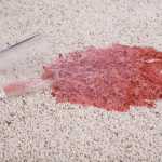 When Should I Replace My Carpet?